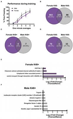 Proteomic Analysis Reveals Sex-Specific Protein Degradation Targets in the Amygdala During Fear Memory Formation